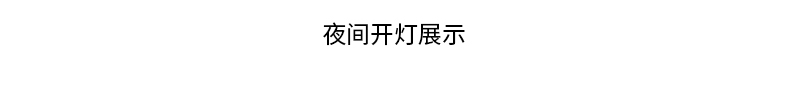 詳情_11